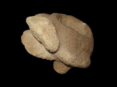 7 3/4" x4" x 5" Mississippian Turtle Effigy Grinding Bowl, Basalt material, found in Southeastern