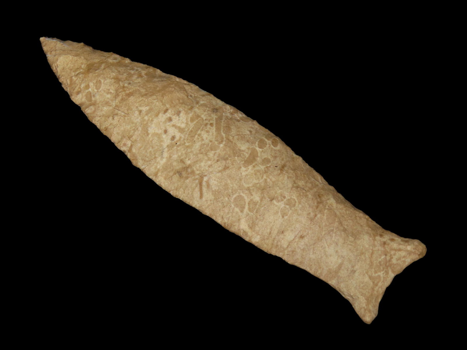 4 1/2" Beaver Lake (1 of 5)