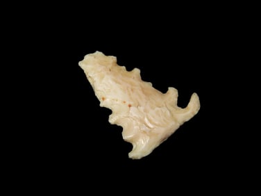 1 1/4" Eccentric, found in Butler Co., Missouri, Ex George Robertson Collection
