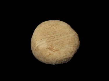 1 9/16" Discoidal, found in Butler Co., Missouri, Ex George Robertson Collection