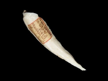 2 3/4" Rare Shell Pendant, Surface Find, Illinois