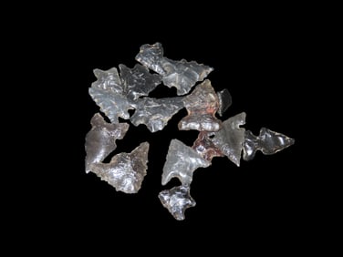 Group of Western Bird Points