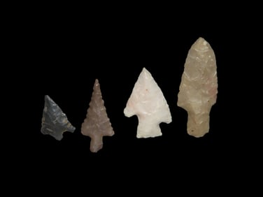 Group of 4 Bird Points, found in the Midwest