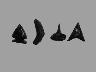Group of 4 Obsidian Pts., found in Mexico