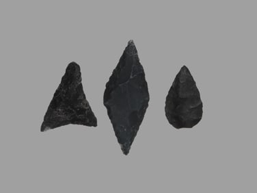 Lot of 3 Bird Points, found in Ohio