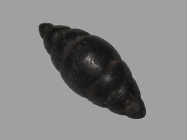 2 3/8" Pre-Columbian Hematite Mace, Motley COA, found in South America, Ex Steve Barras Estate