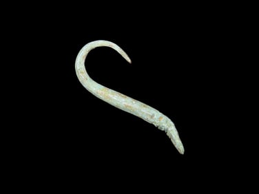 1 1/4" Pre-Columbian Copper Fish Hook, Motley COA,found in South America, Ex Steve Barras Estate