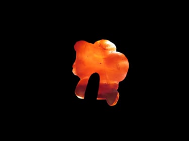7/8" Pre-Columbian Carnelian Agate Effigy Pendant, Motley COA, found in South America, Ex Steve