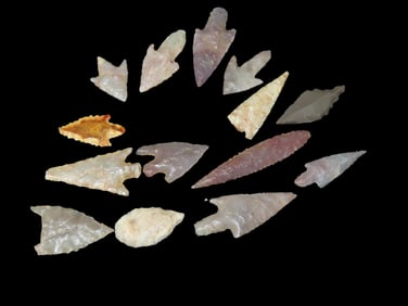 15 Neolithic Sahara Desert Arrowheads, 4000-6000 Years BP