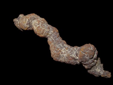 3 3/8" Coprolite Fossilized Dinosaur Poop/Dung, 100 Million Years Old, Madagascar