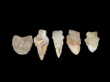 Lot of Arrowheads, Nassau Co., FL
