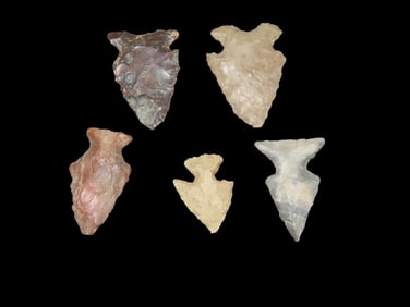 Lot of 5 Bird Pts., MO