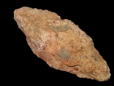 4 1/4" Colorful Pick, Clark Co., MO