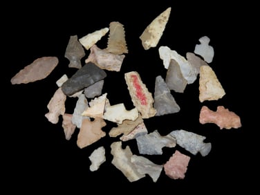 Lot of Central Missouri Bird Pts.