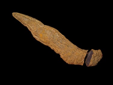 3" Coprolite Specimen, Fossil Dinosaur Dung, broken end