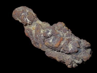 3 5/8" Coprolite Fossilized Dinosaur Poop, MYO, Madagascar