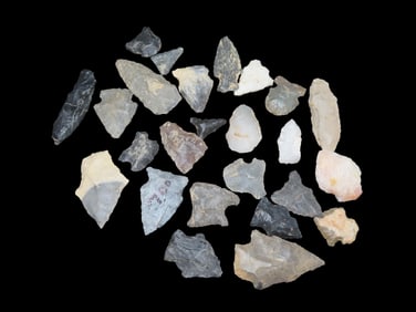 25 East Coast Arrowheads Devonian 350-400 Million Years Old