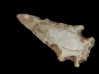2 1/4" 'Blood-Tipped' Cupp, Northeast AR