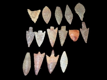 15 Arrowheads Sahara Desert, 4000-6000 Years BP, Neolithic Pts.
