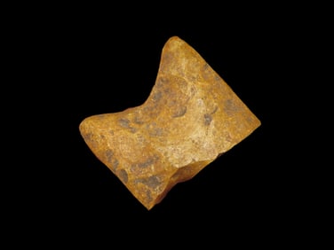 3/4" Fluted Clovis Base, North Dakota