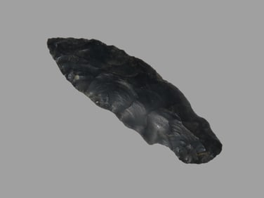 2 5/8" Turkey Tail, found in Ohio, Ex Walt McIntire Collection