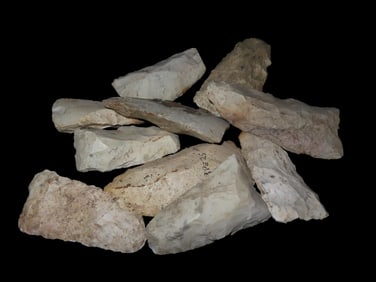 Group of Missouri Clear Fork Gouges, longest is 4" long