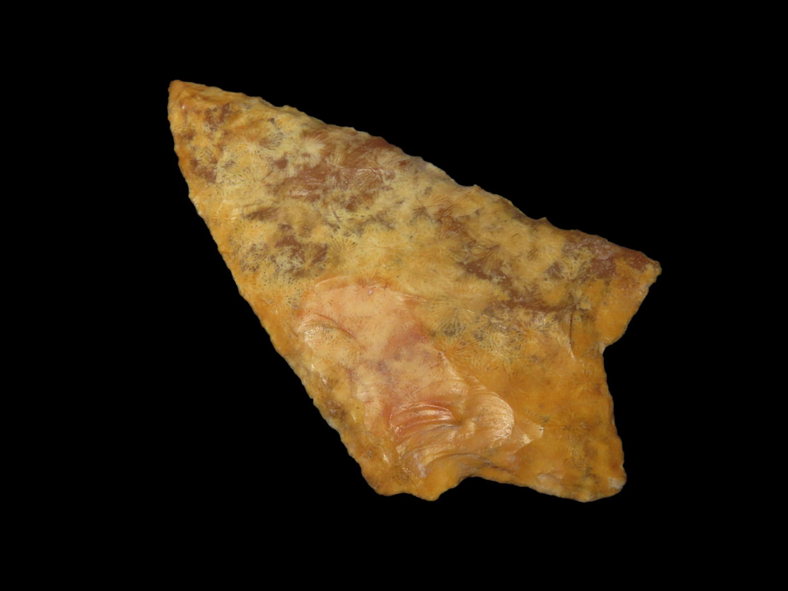 2 1/4" Colorful Color Newnan, Tamp Florida,  Ex Jim Lee  Collection, sold by Jerry Dickey(includes (1 of 5)