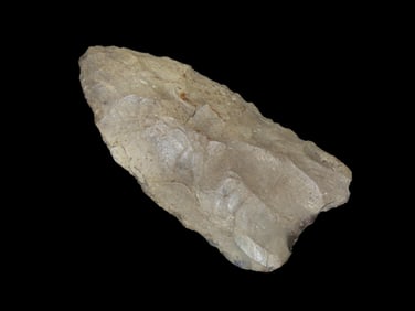 2" Paleo Hi-Low, Bennett COA, found in Ohio