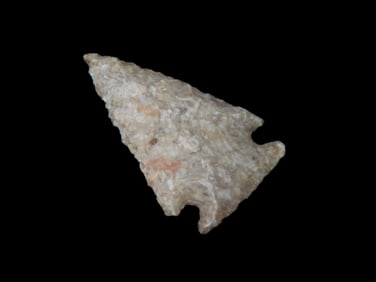 1" Bird Point, Meadows COA, found in Page Co., Iowa, Ex Jim Crawford Collection