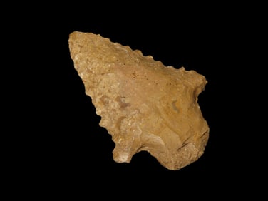 2 1/4" Serrated Savanah River, Georgia, Ex Walt McIntire Collection