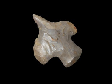 1 3/4" Winged Drill, Alabama, Ex Walt McIntire