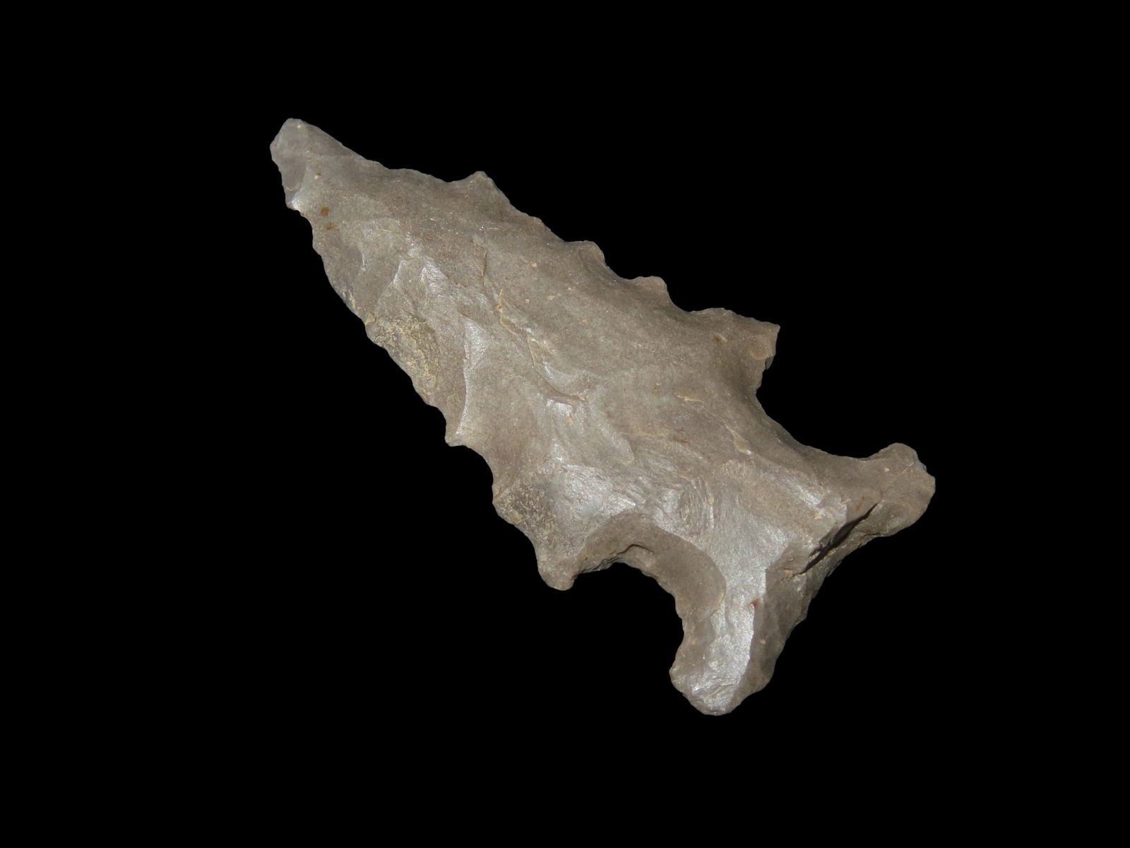 1 3/4" Serrated Big Sandy, Ex Walt McIntire Collection (1 of 5)