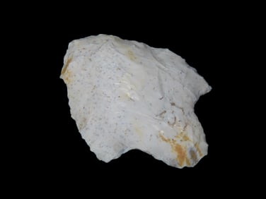 2 1/4" Stemmed Point, Florida, Ex Walt McIntire Collection