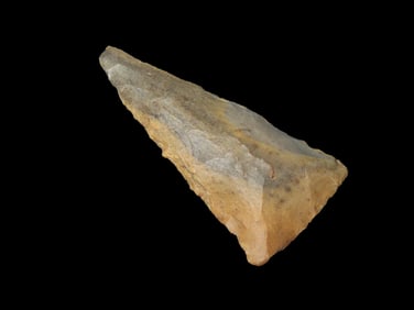 2 1/16" Tortguas, Texas, Ex Walt McIntire Collection