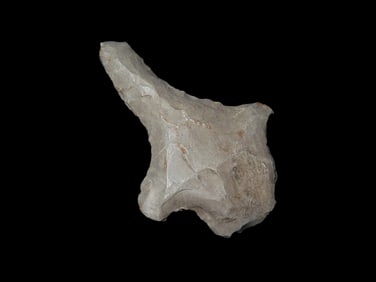 1 3/4" Archaic Drill, Alabama, Ex Walt McIntire Collection