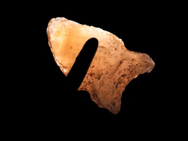 1 3/8" Agate Wolf Ear Point, Colorado, Ex Walt McIntire Collection
