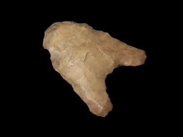 1 1/4" Dalton Blunt, Kentucky, Ex Walt McIntire Collection