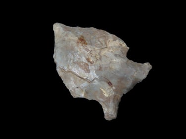 1 3/4" Wold Eared Point, Alabama, Ex Walt Mclntire Collection