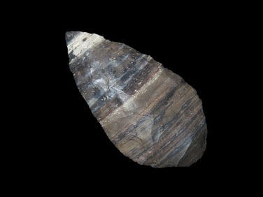 2 1/4" Torgous Paleo, Southern Texas, Ex Walt Mclntire Collection