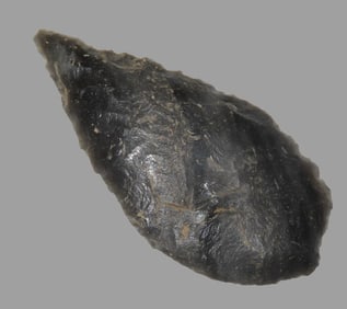 2 3/8" Cascade Obsidian, With Collector Number Found in California