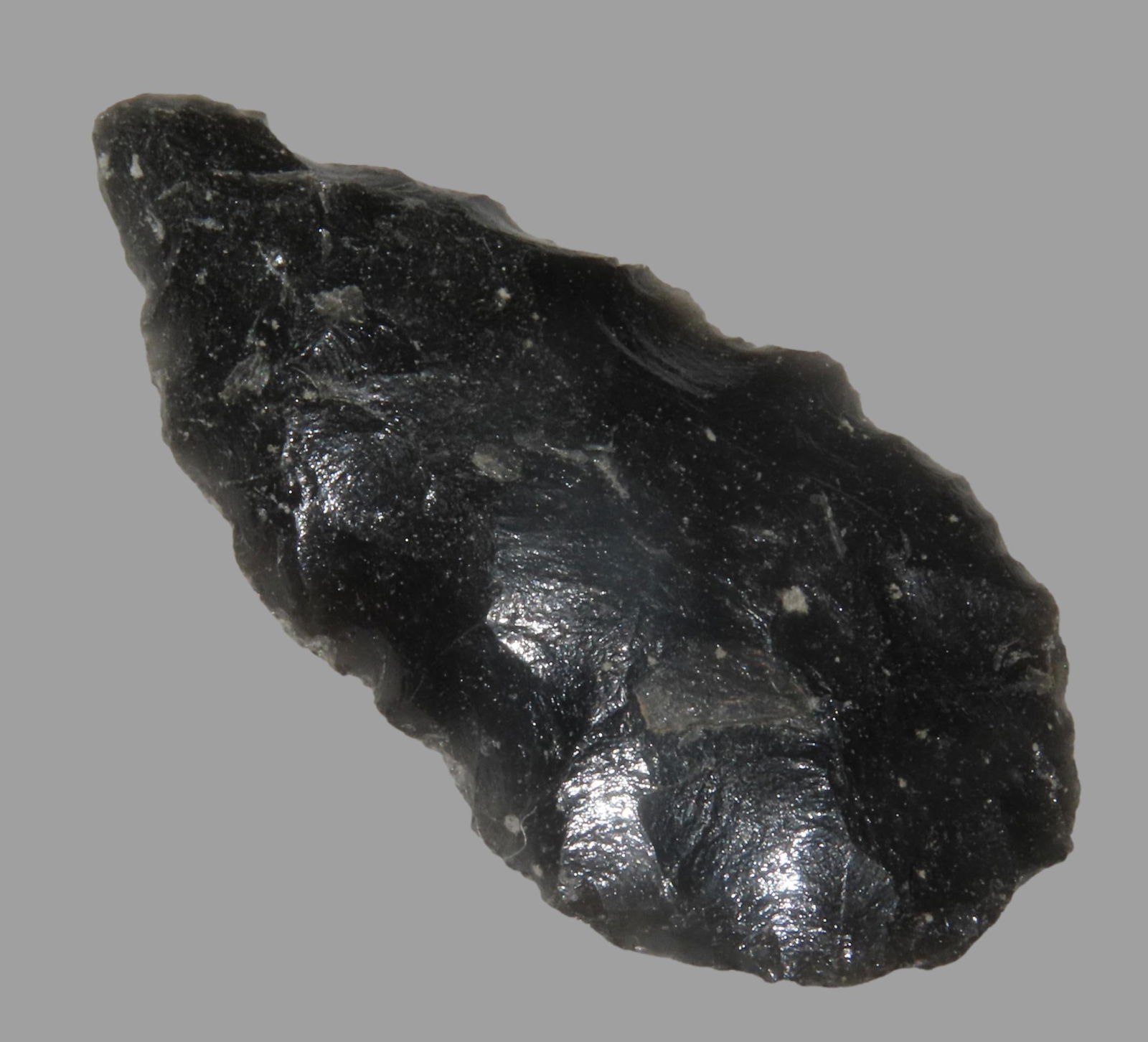 2 3/8" Cascade Obsidian, With Collector Number Found in California: 2 3/8" Cascade Obsidian, With Collector Number Found in California