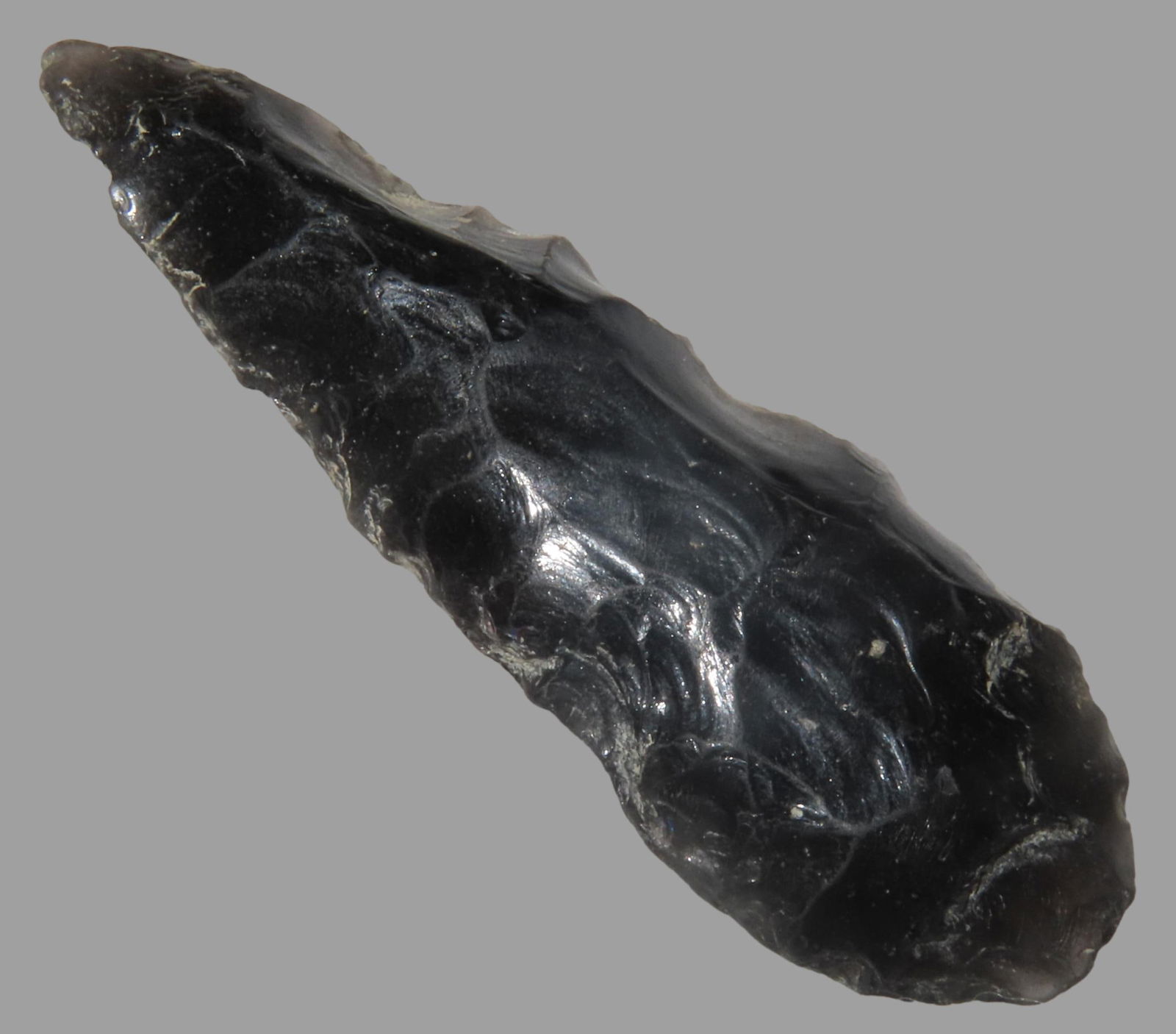 2 7/8" Cascade Obsidian, With Collector Number Found in California: 2 7/8" Cascade Obsidian, With Collector Number Found in California