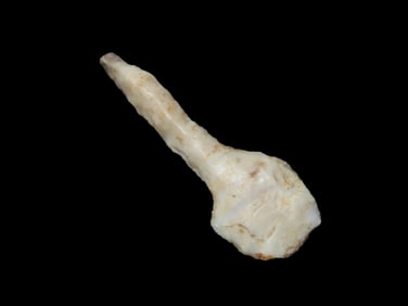 1 5/8" Paddle Drill, found in Pike/Adams Co, Illinois, Ex Bud Goodwin Collection