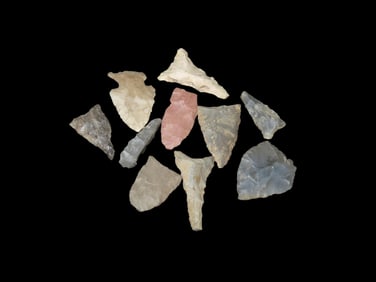 Bird Points, West Middle Tennessee, Found by Bill Pettit, Aquired from Jerry Dicky