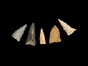 Bird Points, West MiddleTennessee, Found by Bill Pettit, Aquired from Jerry Dicky