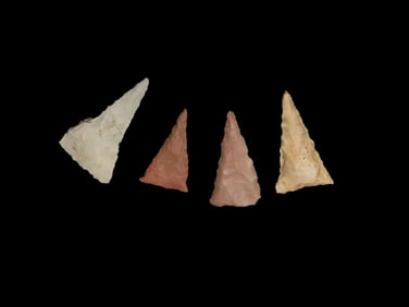 Bird Points, West Middle Tennessee, Found by Bill Pettit, Aquired from Jerry Dicky