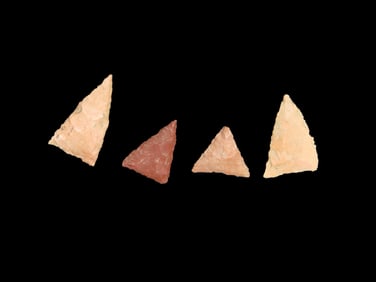 Bird Points, West Middle Tennessee, Found by Bill Pettit, Aquired from Jerry Dicky