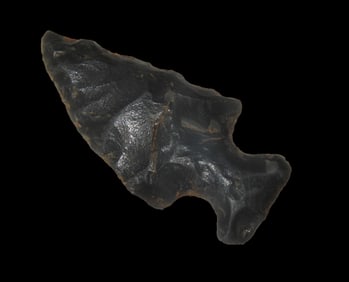 1 3/16" Bird Point, West Middle Tennessee, Found by Bill Pettit, Aquired from Jerry Dicky