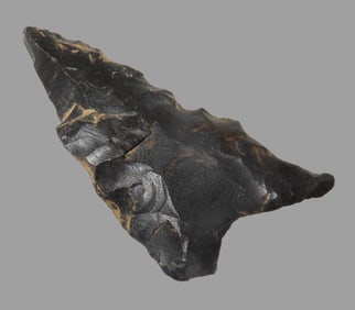 1 1/2" Dalton, North East Arkansas, Ex Micheal Knabe