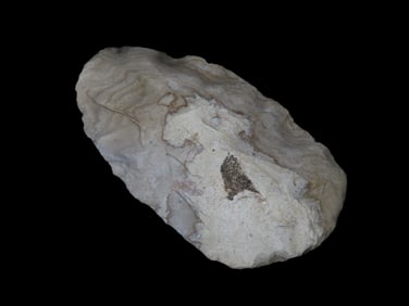 3 1/8" Ovoid Banded Material Blade, North East Arkansas, Ex Micheal Knabe